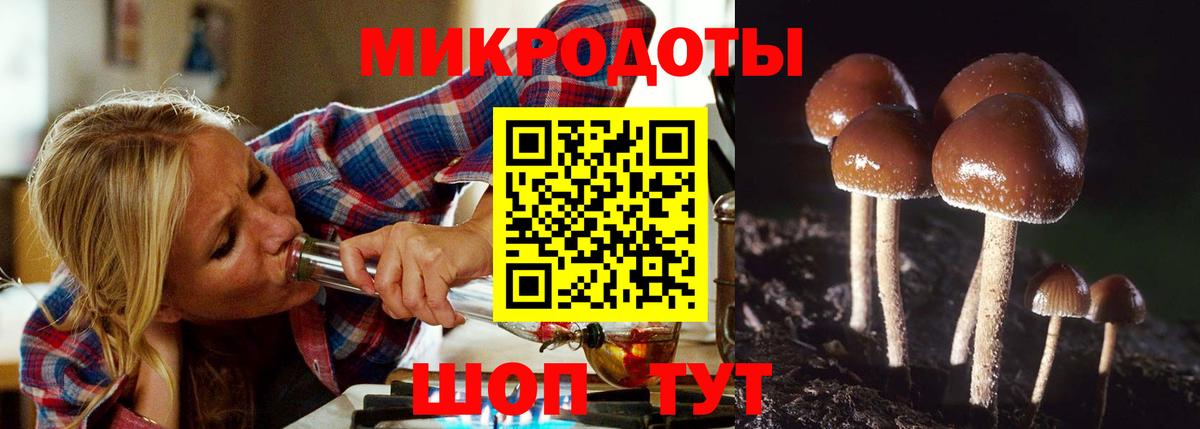 Псилоцибиновые грибы Magic Shrooms Тейково