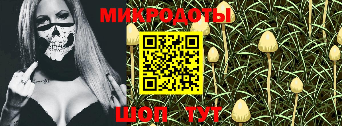 Псилоцибиновые грибы Psilocybine cubensis  Галлюциногенные грибы ЛСД  Вход с VPN  Тейково 